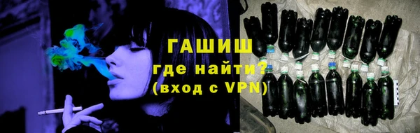 СК Новозыбков