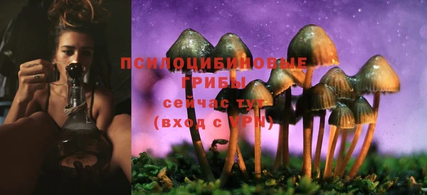 спиды Новодвинск