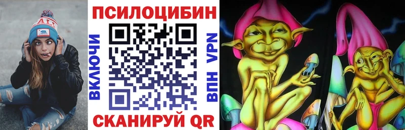 blacksprut сайт  Пудож  Псилоцибиновые грибы Cubensis 