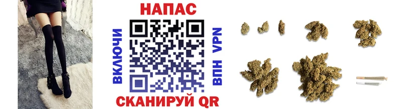 Каннабис SATIVA & INDICA  купить наркотик  Пудож 